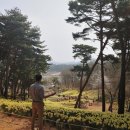 수선화세탁 이미지