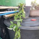 옷사랑빨래터 이미지