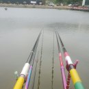 샘터낚시터 이미지