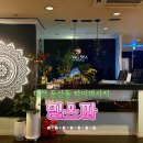 대덕대로-8 | 대전 둔산동 마사지 밍스파 | 건식 타이마사지 후기 실내 데이트 코스 추천