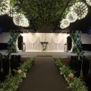 비엔티 카카오 검색결과