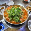 지푸라기동태한마리 로고