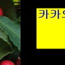 하이트라인의원 이미지