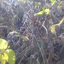 한울농장 이미지