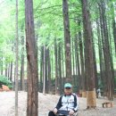 장태산휴양림 이미지