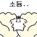 뮤뮤네일스튜디오
