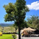 캠핑홀리데이 성주오토캠핑장 이미지