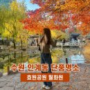 효원 | 수원 인계동 가볼만한 곳 단풍명소 효원공원 월화원 방문 후기 포토존