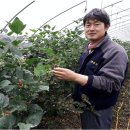 김진석 농장 이미지