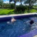 알마레월정 이미지