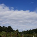 한국폴리텍 VII 대학 부산캠퍼스 이미지