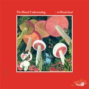 Mutual Understanding / In Wonderland (LP Miniature) ;비트볼 발매 이미지