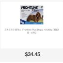 성공펫