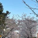 2024 건강근력 스트레칭 이미지