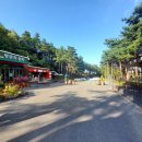 솔향수목원(제3주차장) 이미지