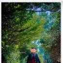 큰엉(남원관광지구) 이미지