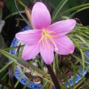 도도농장 이미지