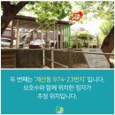 초정세탁소 네이버블로그
