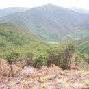 서상농장 이미지