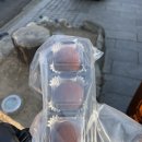 선관고기 | 엄마와 전주여행기 2일차