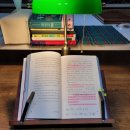 오렌지팩토리앞 이미지