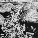 마포나루 이미지