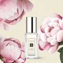 베르베르헤어 | 말론 런던 향수- [피오니 앤 블러쉬 스웨이드 코롱] 후기 (JO MALONE LONDON PEONY & BLUSH SUEDE COLOGNE)
