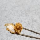 GS25 포항천마로점 이미지