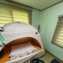 위미위드미 게스트하우스 이미지