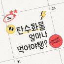 구암동108 | 탄수화물 얼마나 먹어야 할까_구암동 헬스장