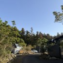 제주피움 | 제주 서귀포 숙소 추천, 제주 웰니스 숙소 에가톳캐빈 카멜리아동 상세후기