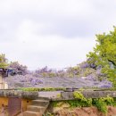 충남청과직판장