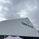 수동중학교 | 남양주 실내테니스 코트 : K테니스 블라썸 - 실내코트 후기