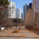 배다리공원 이미지