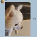 갑장산화장실 | [상주] 경상북도 상주 촌캉스 I 반려견 동반 가능 휴게소, 카페, 맛집 1박 2일 코스 정리