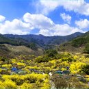 현천마을 이미지