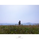 만해사