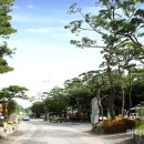 장어마을 이미지