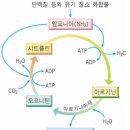민트약국 이미지