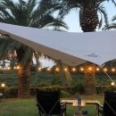 팜트리 빌리지 이미지