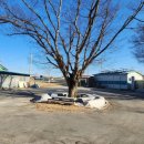 여강길(2코스 세물머리길) | [여강길] 2코스 세물머리길 (코스길이 21.0km)《세물머리길 이야기》_20260129