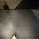 멜버른, DAY 1-2