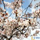 이병기 농장 이미지