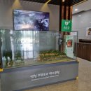 디엠지레클리스협동조합 이미지