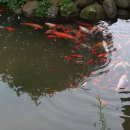 무게로 - 관악구 난곡로 244 | 무게로