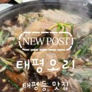 약선오리 | [태평동칼국수] 장모님 모시고 다녀온 가성비 최고 몸보신, '태평오리' 약선오리백숙 후기