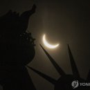 환호종합