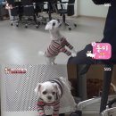 동이그릇이야기