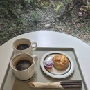 버밀파크 | 정자역 맛집 투어😋 리스카페 정자, 화이트리에 정자점, 버밀파크 모두 다녀왔어요!