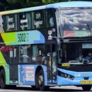 경남여객 이미지